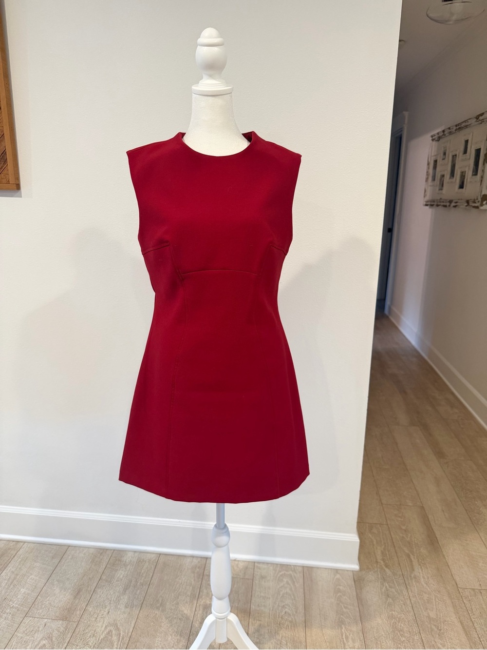 Zara Sleeveless Ruby Red Mini Dress